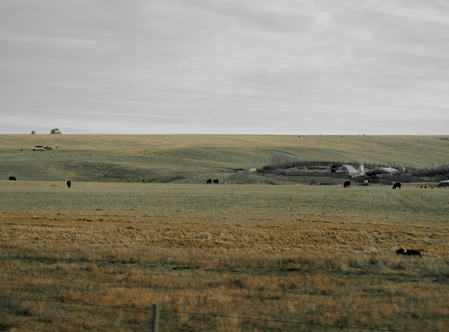 A view of the Alberta countryside, an idyllic landscape in the minds of many city-dwelling Canadians. Elsa Lam