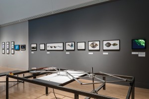Karl Chu's Catastrophe Machine, an automated drafting table used to represent mathematical principles, was rebuilt specifically for the CCA's current exhibition.