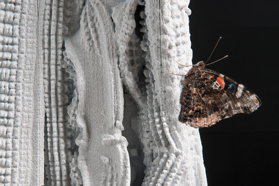 The design includes an intricate level of detail. Photo by Peter Andrew