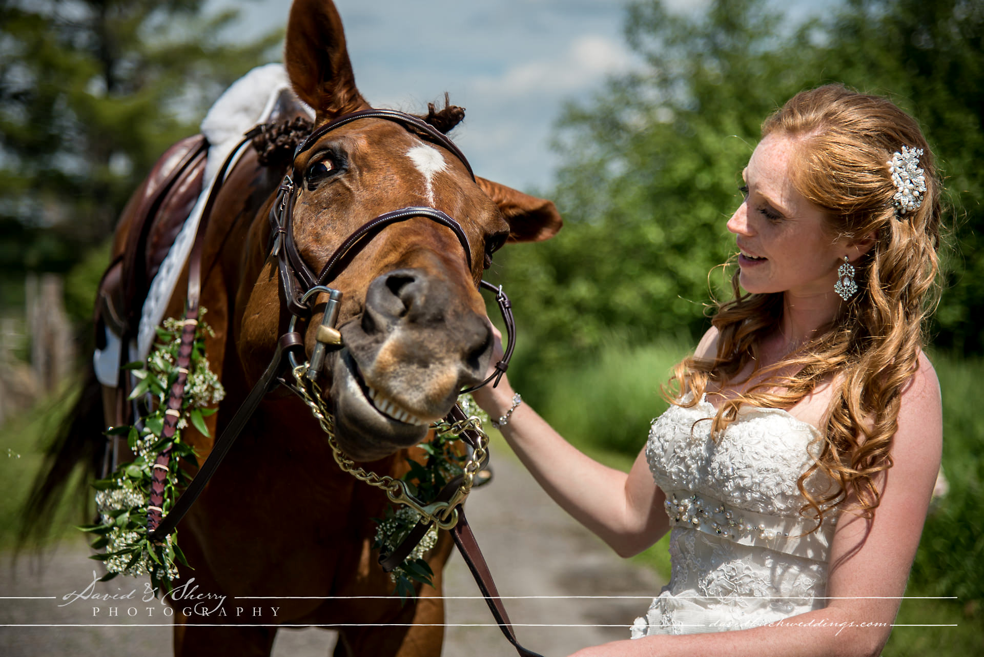 Brooklands Farm Wedding Muskoka Wedding Photographer Shawn & Alana