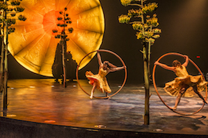 LUZIA du Cirque du Soleil