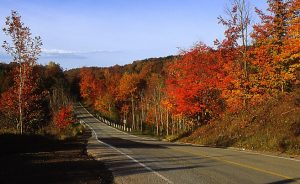 Protected Greenbelt land outside Toronto. Photo by Bill Smith via Wikimedia Commons.