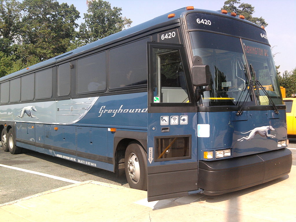 Greyhound