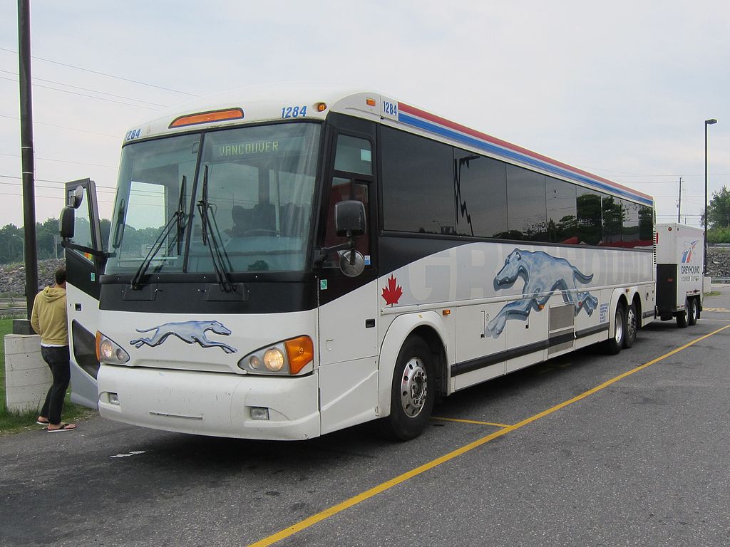 Greyhound, NDP