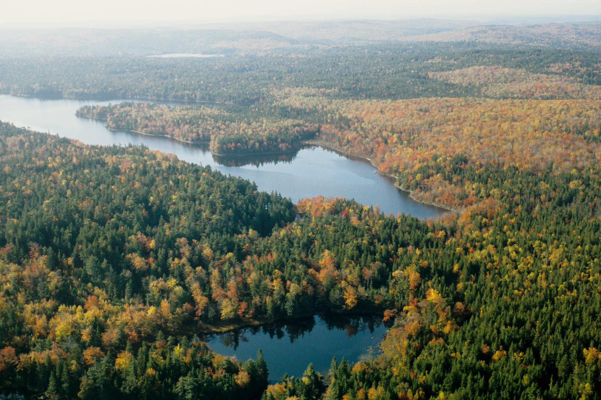 clearcutting, Nova Scotia