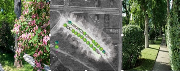 Crossraods Garden Shed. Image via City of Calgary.