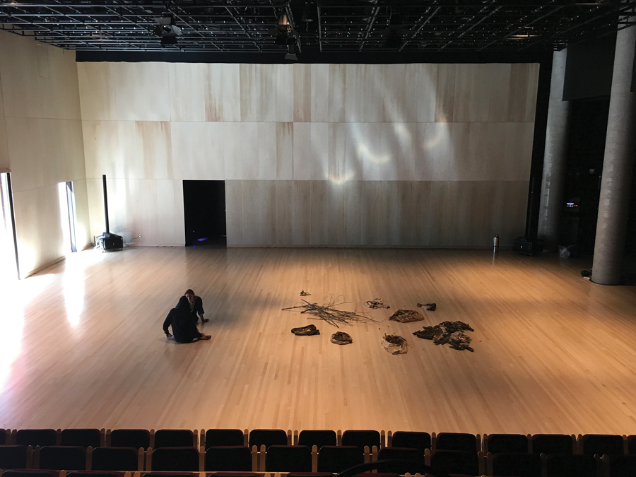 Espace Danse Wilder Building, Lapointe Magne, AEdifica