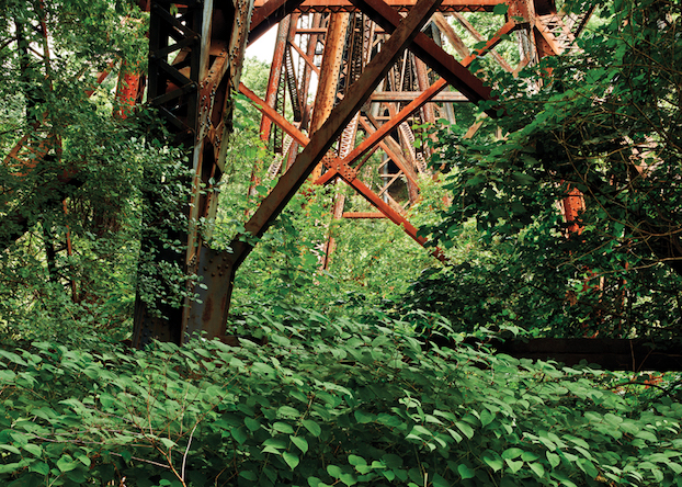 Robert Burley, An Enduring Wilderness: Toronto's Natural Landscapes, Stefan Novakovic