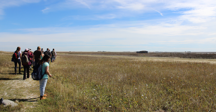 University of Calgary, Master of Landscape Architecture