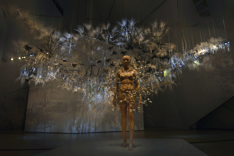 Transforming Space, Philip Beesley