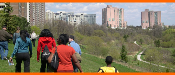 jane's walk