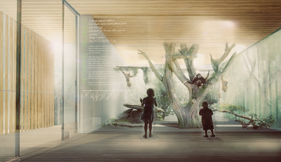 Within the tree canopy, platforms and walkways allow visitors to view primates.