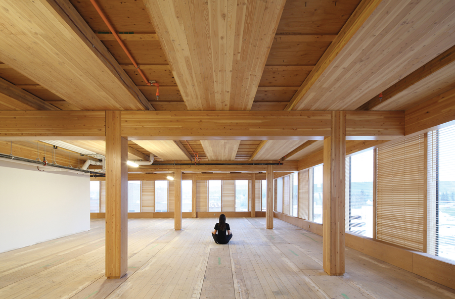Cavities within the CLT floor section accommodate services. Floor chases are covered with an acoustic insulated subfloor with cut-out panels to provide access.