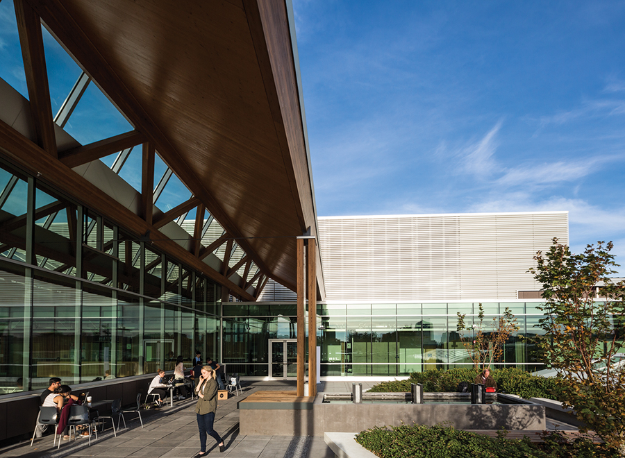 Rooftop terraces provide room for outdoor study and socializing. Photo: Ema Peters