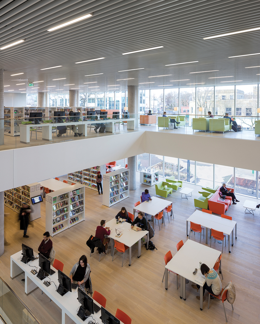 Daylight, natural materials, and clear sight lines contribute to the library’s sense of spaciousness.