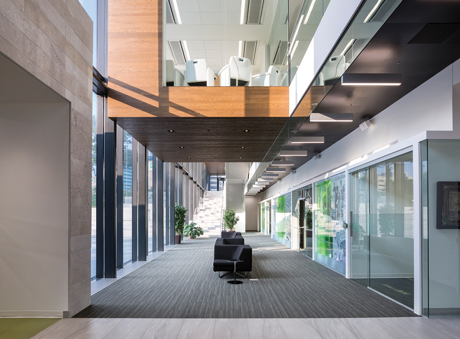 The ground floor foyer includes meeting areas for clients, and is enlivened by the activites above.
