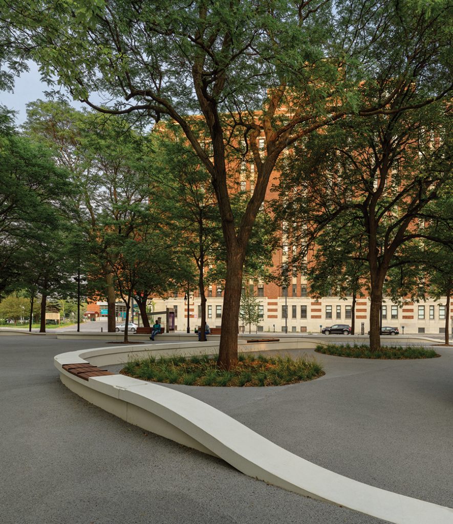 Curving concrete benches create a soft barrier between pedestrian spaces and planted areas.