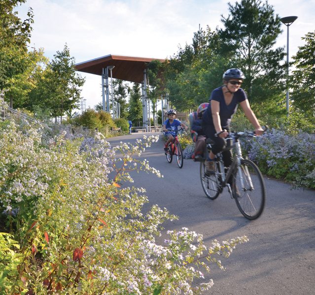 Native flora was chosen for use throughout the park, which weaves together natural habitats and recreational zones.