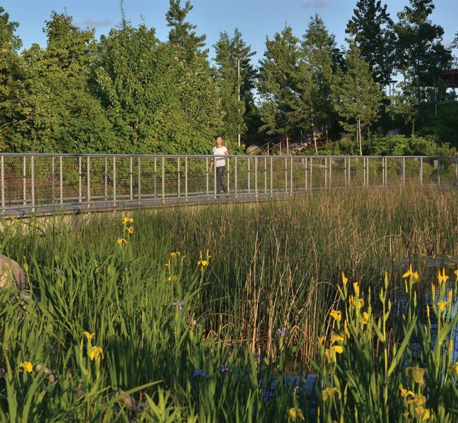 The park includes a variety of areas, including a wetland that is frequented by waterfowl and migrating birds. Photo courtesy of Waterfront Toronto.
