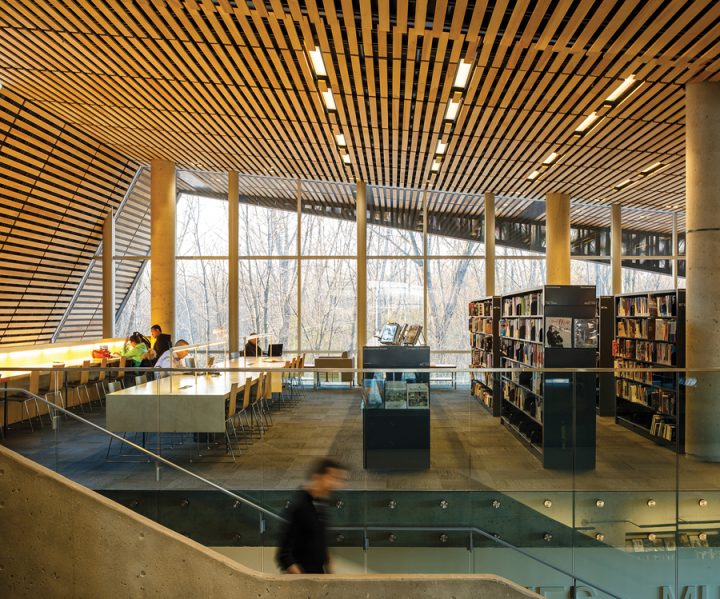 The forest is visible throughout the reading areas. Photo: Doublespace Photography