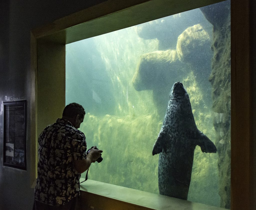 Fundy Discovery Aquarium