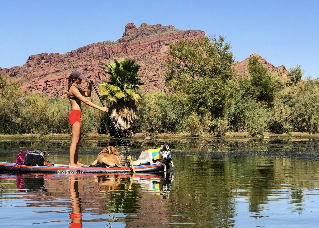 A woman and her dogs paddle boarding on the Salt River in Mesa.