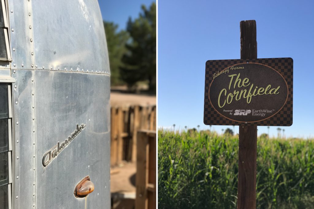 Schnepf Farms, a 75-year-old working farm on Mesa's Fresh Foodie Trail