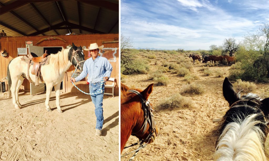Left: Guide Robert Pablo of the Koli Equestrian Centre. Right: An encounter with wild horses.