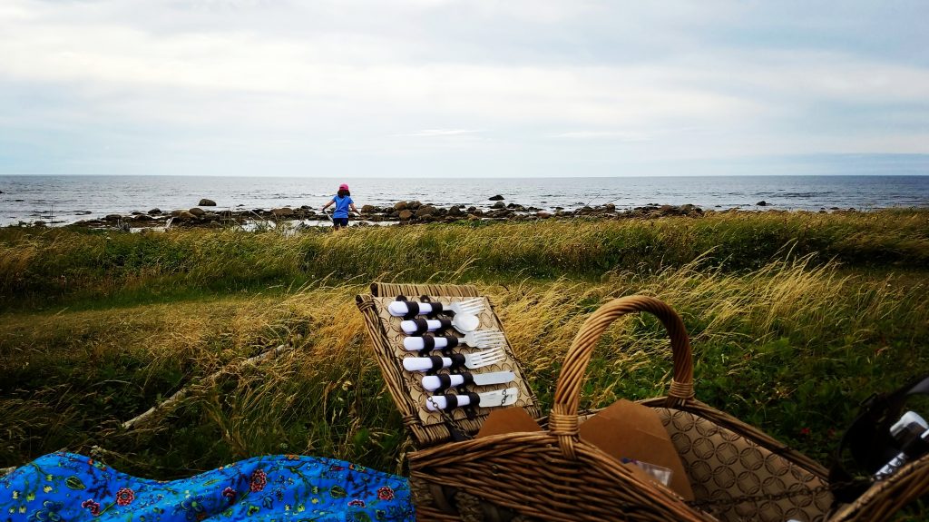 A picnic scene on Gros Morne National Park’s Coastal Trail