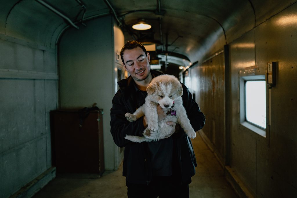 Via Rail, cargo car, puppy