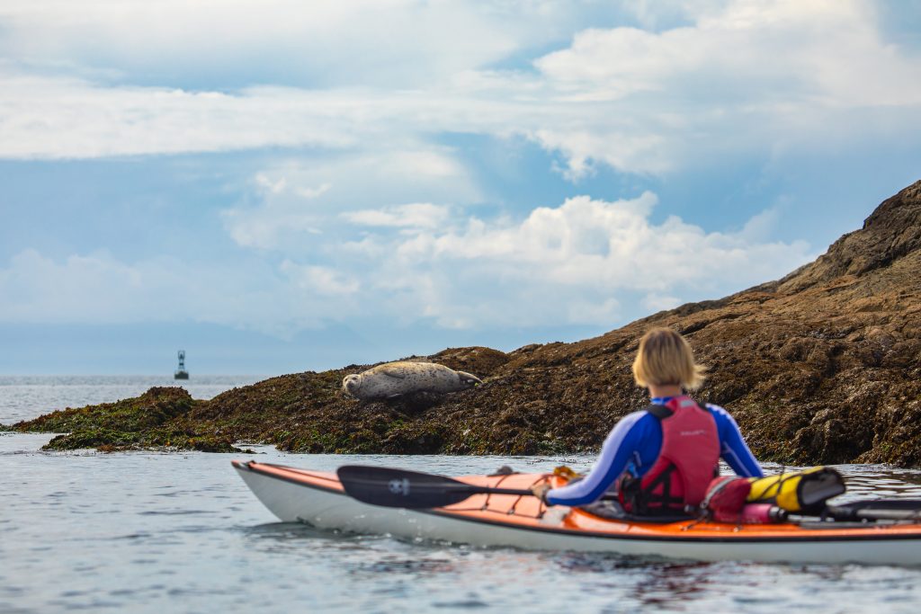 Victoria, wellness, kayak, seal