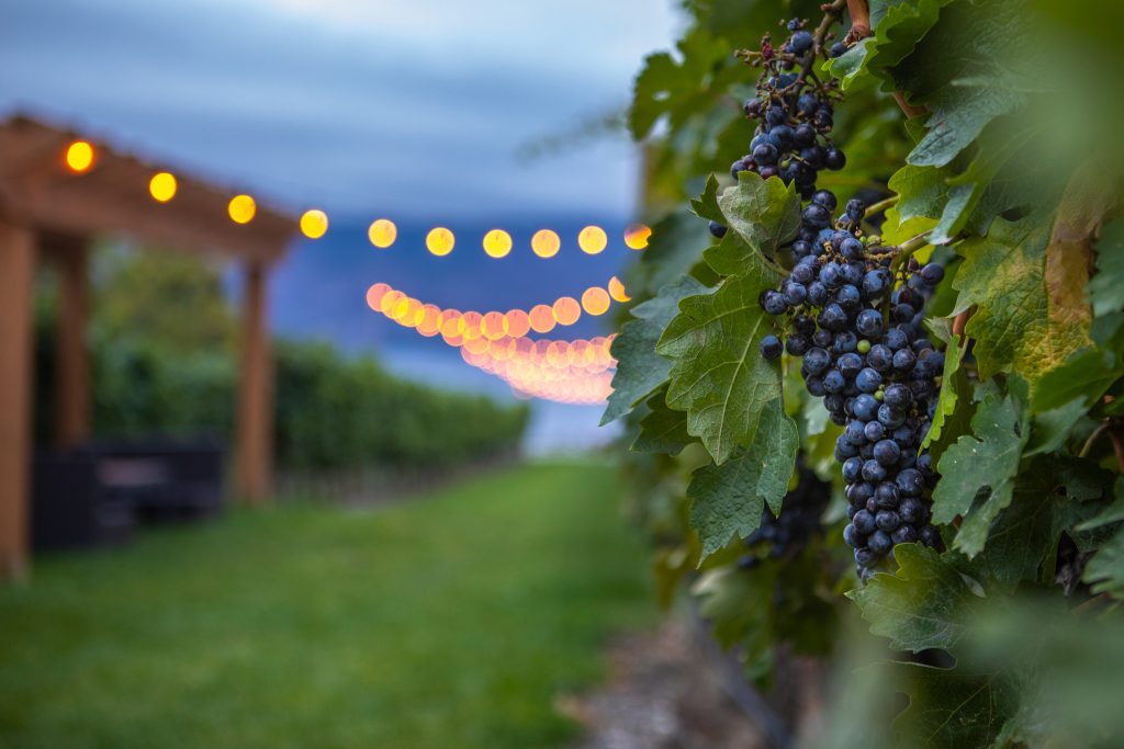wellness, wine, Okanagan, winery