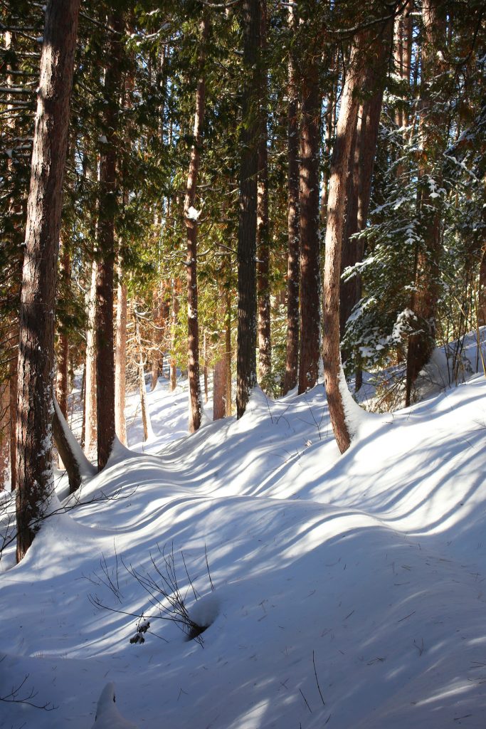 late afternoon sun casts long shadows across the deep snow on the Inukshuk Trail in Parc national d'Opémican