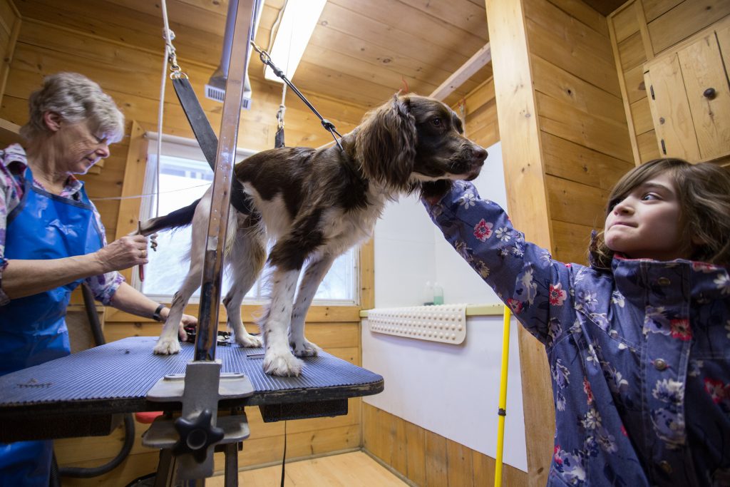 Domaine Summum, Mont-Tremblent, dog hotel, Quebec