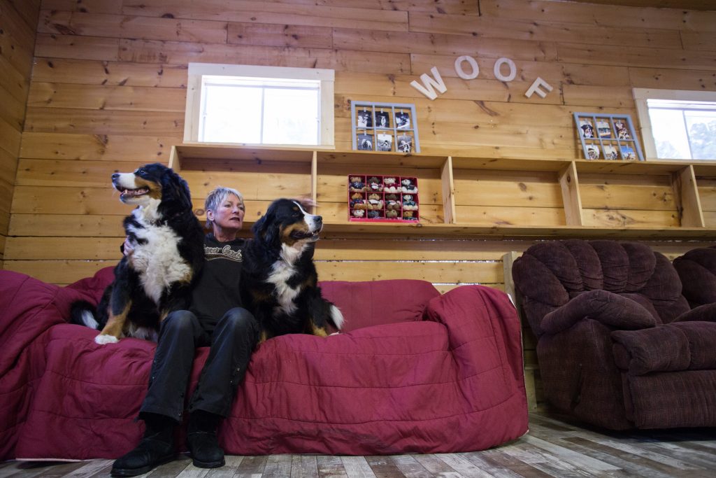 Domaine Summum, Mont-Tremblant, dog hotel, Quebec