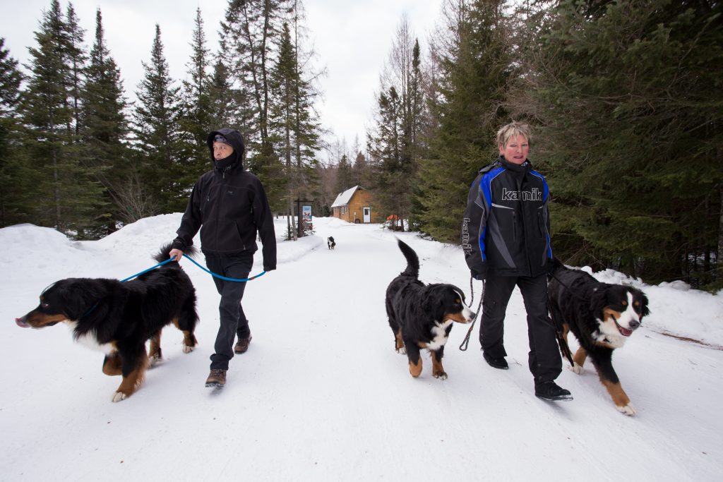 Domaine Summum, Mont-Tremblant, dog hotel, Quebec