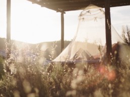 Mosquito net is good for the summer