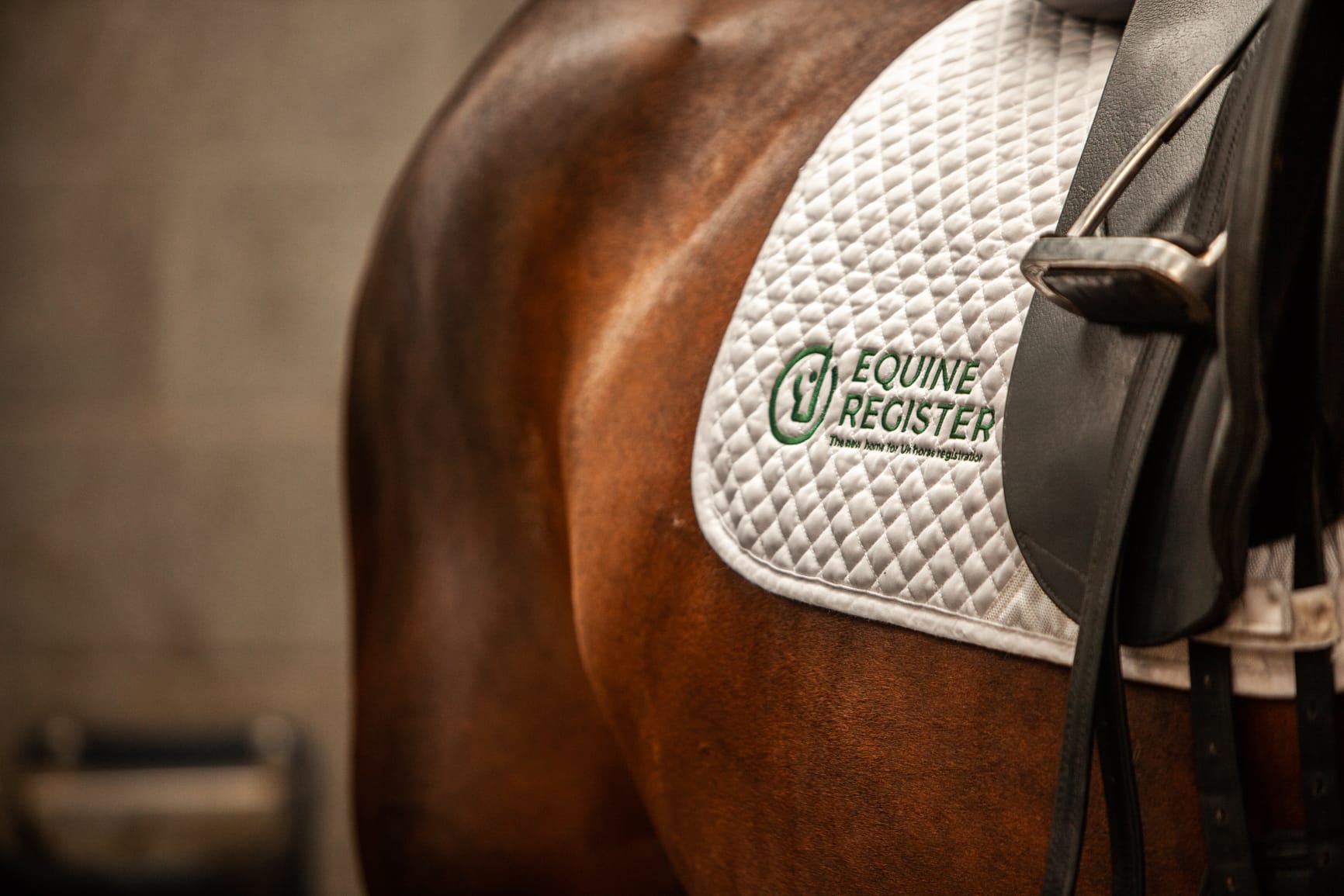 Numéros d'identification des chevaux