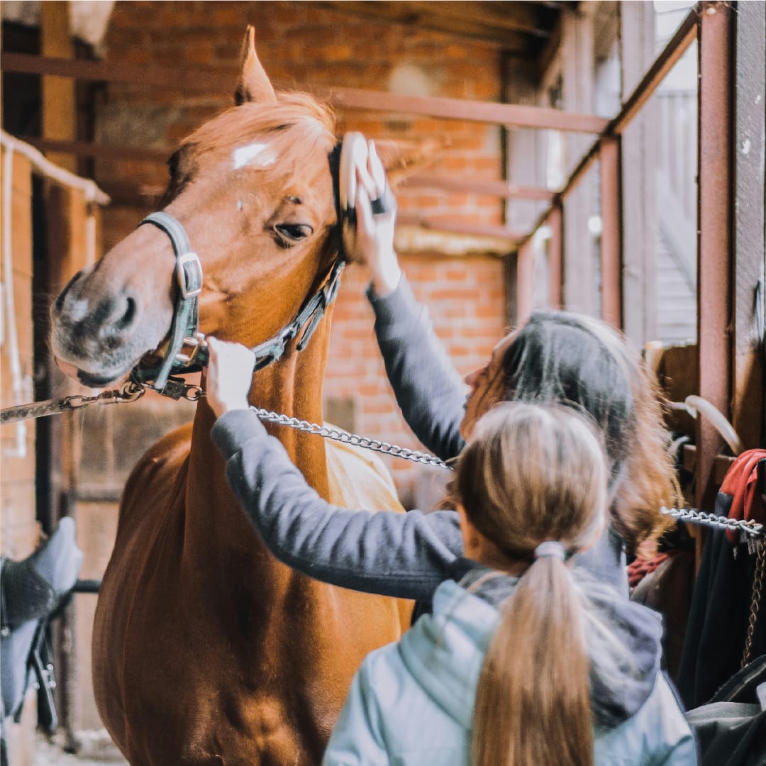 Five best horse events 2024