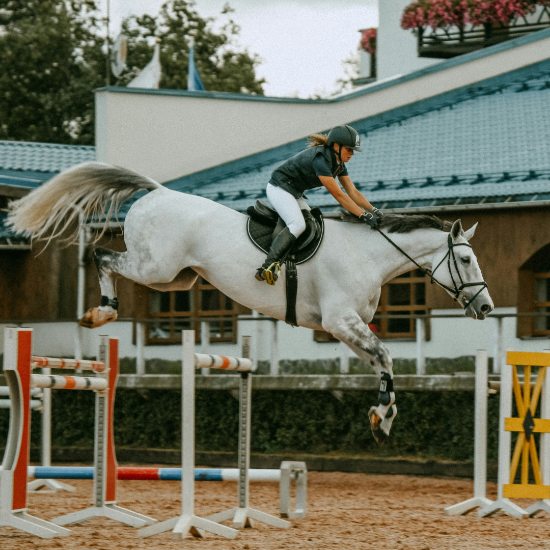 From Stress to Success: Simplify Your Show Season with Equine Register