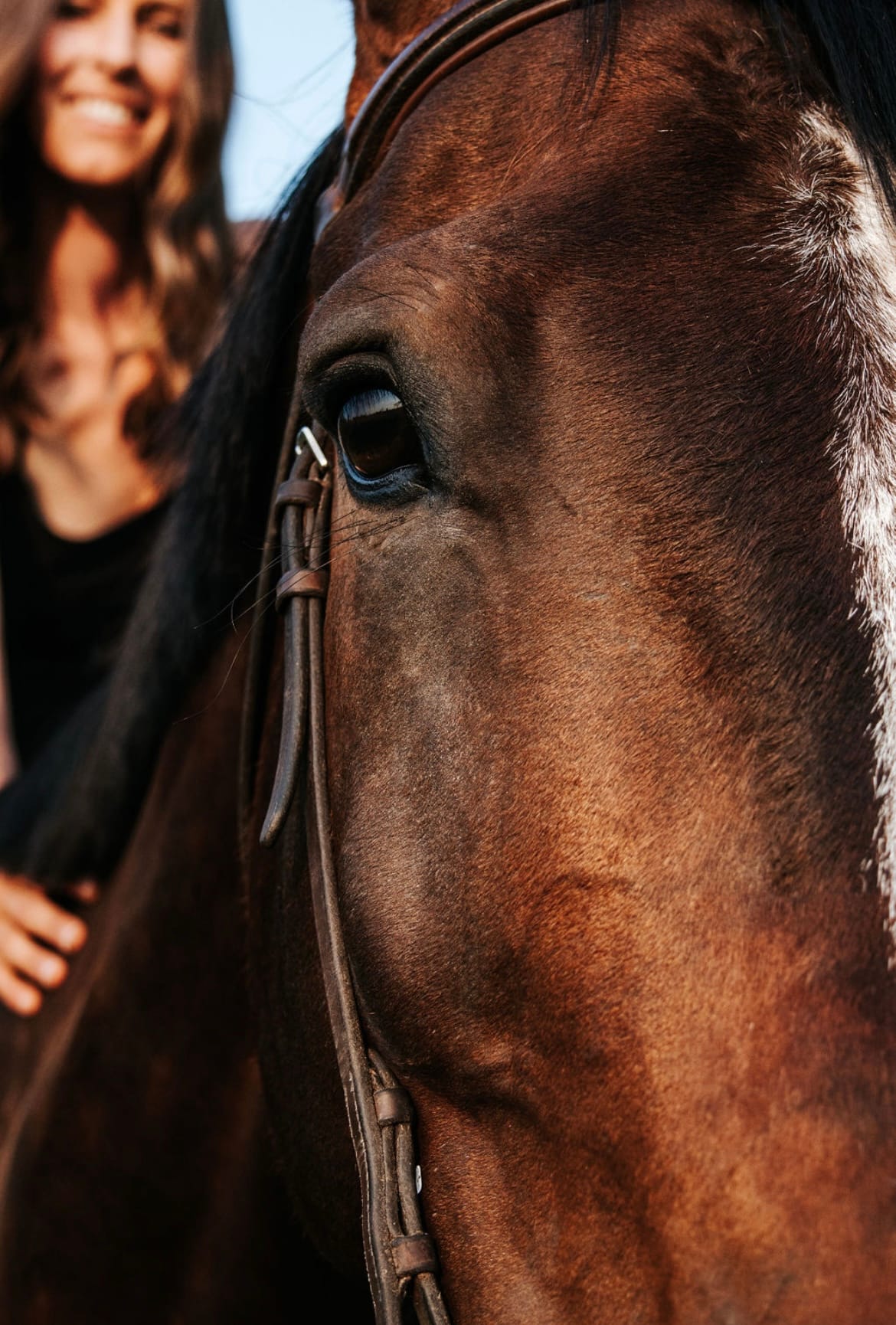 Introducing the Canadian Equine Register