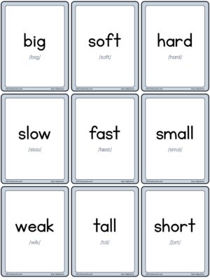 Preview of Word cards with IPA, Small