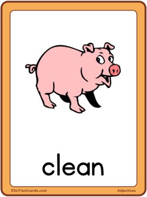 Preview of Images with labels, Large