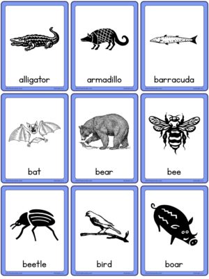 Preview of Images with labels, Small