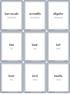 Preview of Words with IPA, Small