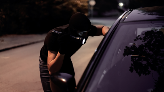 Auto theft image