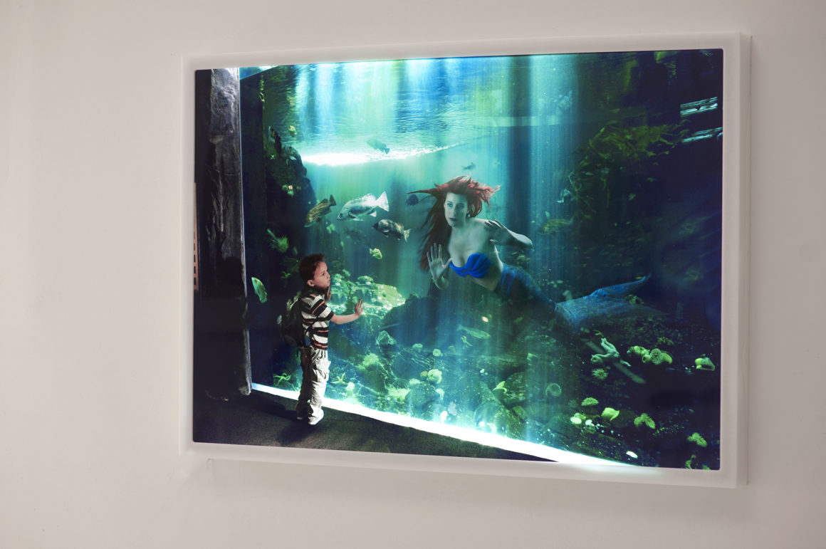 Ariel LED Light Box