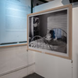 image from exhibition opening Snapshots From The Garden Of Eden Montreal Jewish Museum Montreal 2020