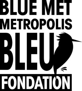 15e anniversaire du Festival Metropolis bleu 15e anniversaire du Festival Metropolis bleu
