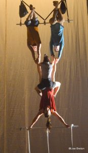 Cirque les improbables